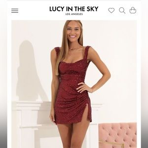 New Lucy in the Sky Sequin Dress
